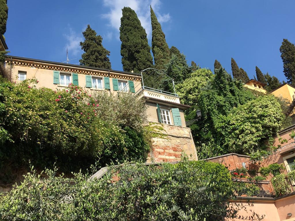 Casa Corvina Apartment